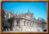 Sevilla's Cathedral